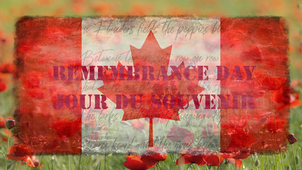Destroyed flag Canadian on the background of poppies - Remembrance Day