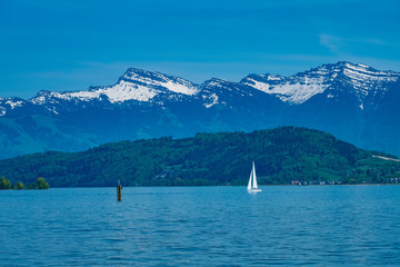 Naklejka premium Springtime sailing along the shores of the Upper Zurich Lake (Obersee), Switzerland