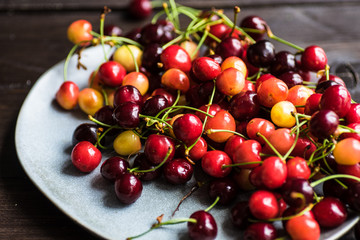 Organic food concept