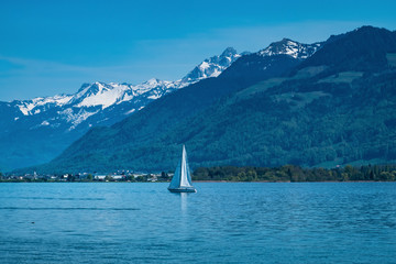 Naklejka premium Springtime sailing and kayaking along the shores of the Upper Zurich Lake (Obersee), Switzerland
