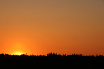 sunset behind silhouette of forest