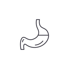Stomach linear icon concept. Stomach line vector sign, symbol, illustration.