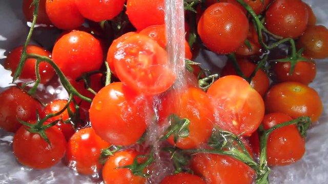 Pomodori con Getto d'Acqua, Tomatoes with Water Jet