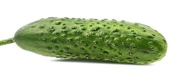 Fresh cucumber isolated on white background with clipping path