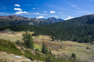 Naklejka premium Val Buscagna - Alpe Devero
