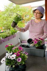 
Woman planting flowers on the balcony
