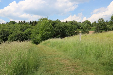 Fototapeta premium Wanderweg zwischen Wiesen, Feldern und Wald in ländlicher Idylle