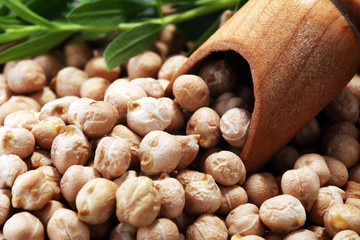 Raw Chickpeas on a bowl. Chickpeas is nutritious food. Healthy and vegetarian
