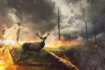 Hirsch steht in brennendem Wald