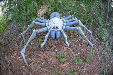 Gigantic dinosaur era arachnid replica