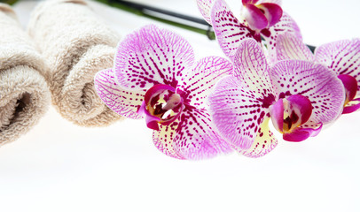 Orchid flowers and green leaves and towels on white background