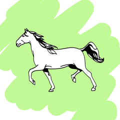 Fototapeta na wymiar Horse in forward motion vector