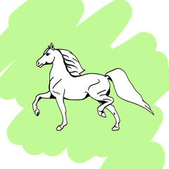 Obraz na płótnie Canvas Horse in forward motion vector