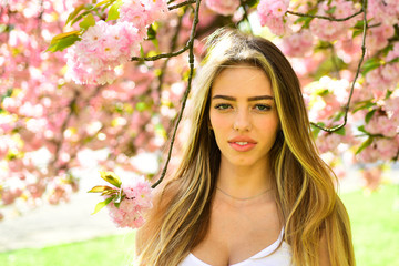 Fototapeta premium Woman with long blond hair standing under cherry blossom tree. Sensual female radiating confidence over natural background. Girl with tanned skin, full lips and sexy appearance enjoying sunny day