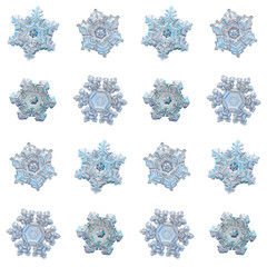 Collection of snowflakes isolated on white background. Macro photo of real snow crystals: small...
