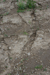 soil erosion on a field - the result of torrential rain