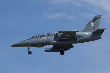Fototapeta na wymiar Aircraft arrived on military arshow Pardubice