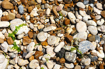 sea pebbles