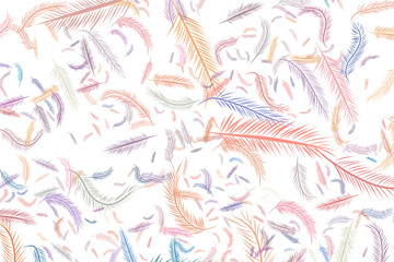 Fototapeta premium Abstract illustrations of feather, conceptual. Color, digital, hand-drawn & style.
