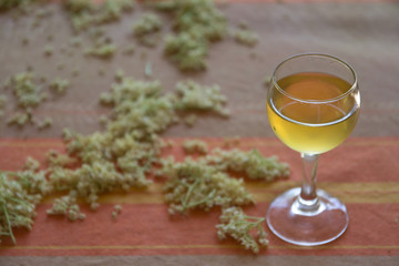 tincture of wild elder flowers in a glass and dried flowers