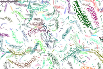Fototapeta premium Abstract illustrations of feather, conceptual. Drawing, decoration, wallpaper & shape.