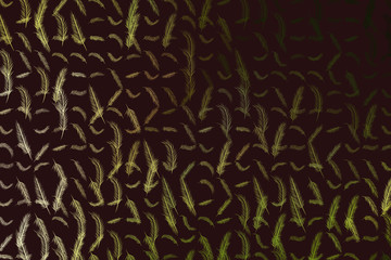 Illustrations of feather. Design, pattern, texture & cartoon.