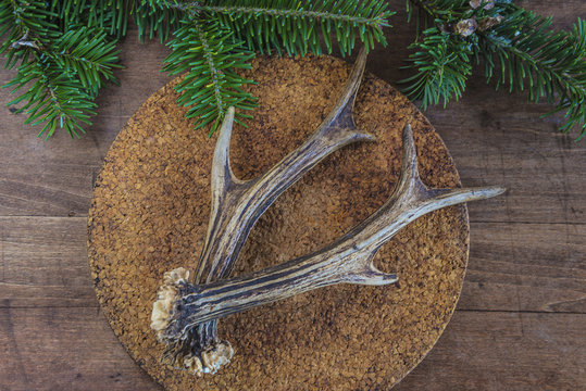 Deer antlers on cork plate and fir branches  on wooden background top view