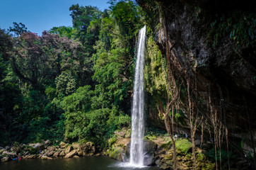 Cascadas de Misol-Ha