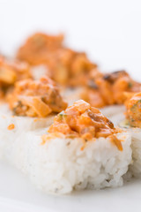 Sushi set and composition at white background. Japanese food restaurant, sushi maki gunkan roll plate or platter set.