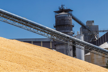 Corn and Grain Handling or Harvesting Terminal. Corn Can be Used for Food, Feed or Ethanol V © jetcityimage