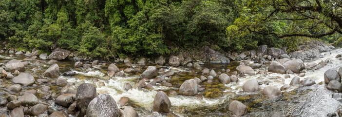 Mossman Gorge n the Daintree Rainforest, Queensland Australia