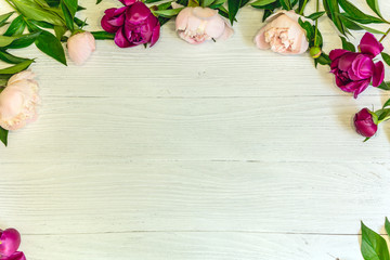 Summer floral frame with pink peonies