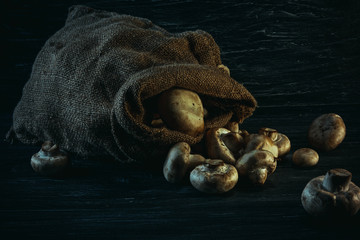 Fresh champignon mushrooms on dark background. Dark toned