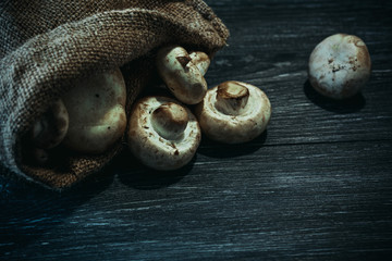 Fresh champignon mushrooms on dark background. Dark toned