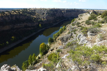 Fototapeta na wymiar Hoces del Río Duratón, parque natural en Sepulveda, Segovia (Castilla y Leon, España) 