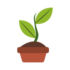 Plant in pot cartoon vector illustration graphic design