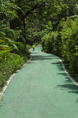 green bike lane in the beautiful nature