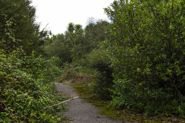 Aratiatia rapids in Taupo, New Zealand