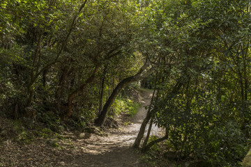 Aratiatia Rapids in Taupo, New Zealand