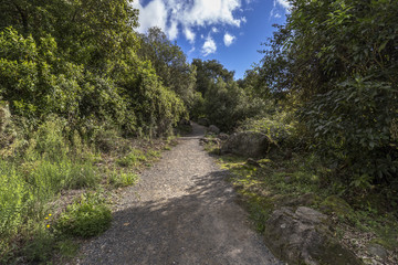 Aratiatia Rapids in Taupo, New Zealand