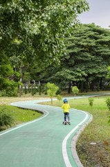 green bike lane in the beautiful nature