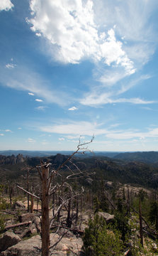 Harney Peak / Black Elk Peak hiking trail number 9 in Custer State Peak in the Black Hills of South Dakota United States