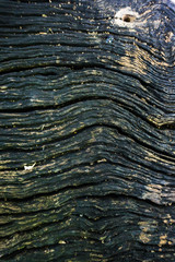 Fototapeta premium Wood texture old grunge background