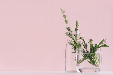 Modern soft light pink pastel home interior with green plant in transparent vintage glasson white wood background.