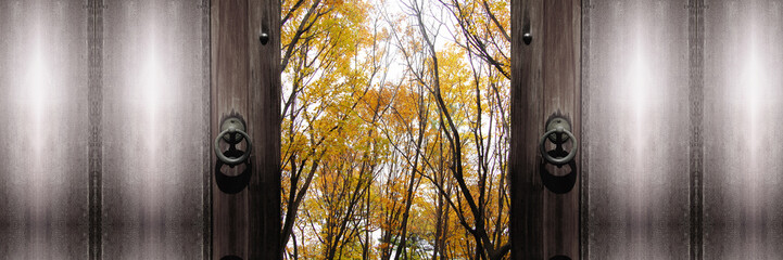 Fototapeta premium 扉の向こうの秋