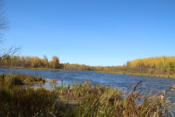 Pond At Amisk Wuche Trail, Elk Island National Park, Alberta