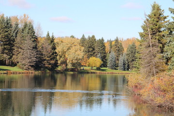 Fototapeta na wymiar Calm Lake, William Hawrelak Park, Edmonton, Alberta