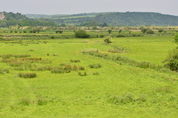 The countryside at Arundel, West Sussex in Summertime.