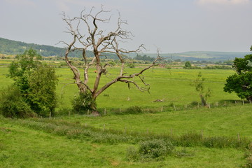 The countryside at Arundel, West Sussex in Summertime.