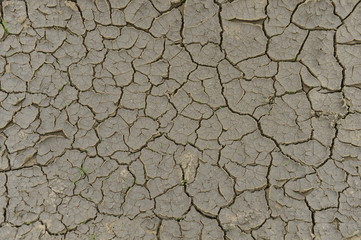 The parched soil